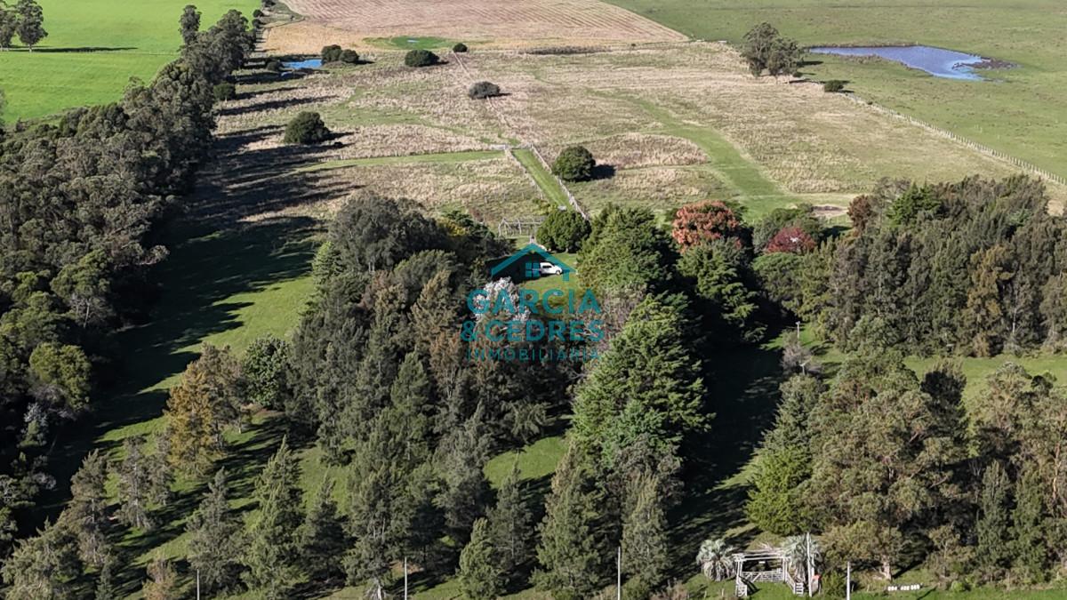 Chacra ID.442 - Chacra de 10has con casa principal, Ruta 39 a 22km de Punta del Este.