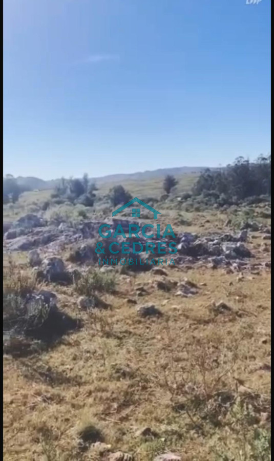 Chacra ID.56 - Oportunidad !!!!!! a solo U$S 90.000 .Vendo Chacra de 12 Has y 8000 mt en Minas . Cno Al Barrancon 