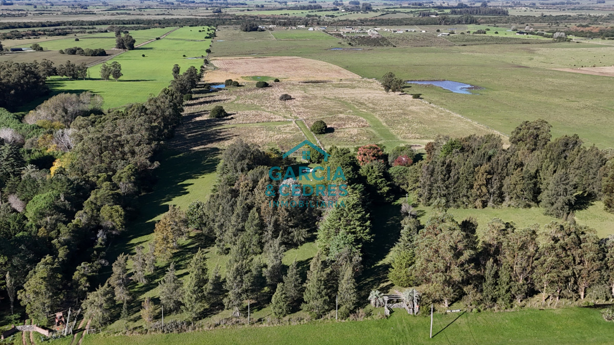 Chacra ID.442 - Chacra de 10has con casa principal, Ruta 39 a 22km de Punta del Este.
