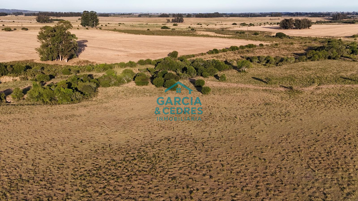 Chacra ID.146 - OPORTUNIDAD VENTA DE CHACRA 18 HAS 795 M2 ZONA ZANJA DE CHAVEZ