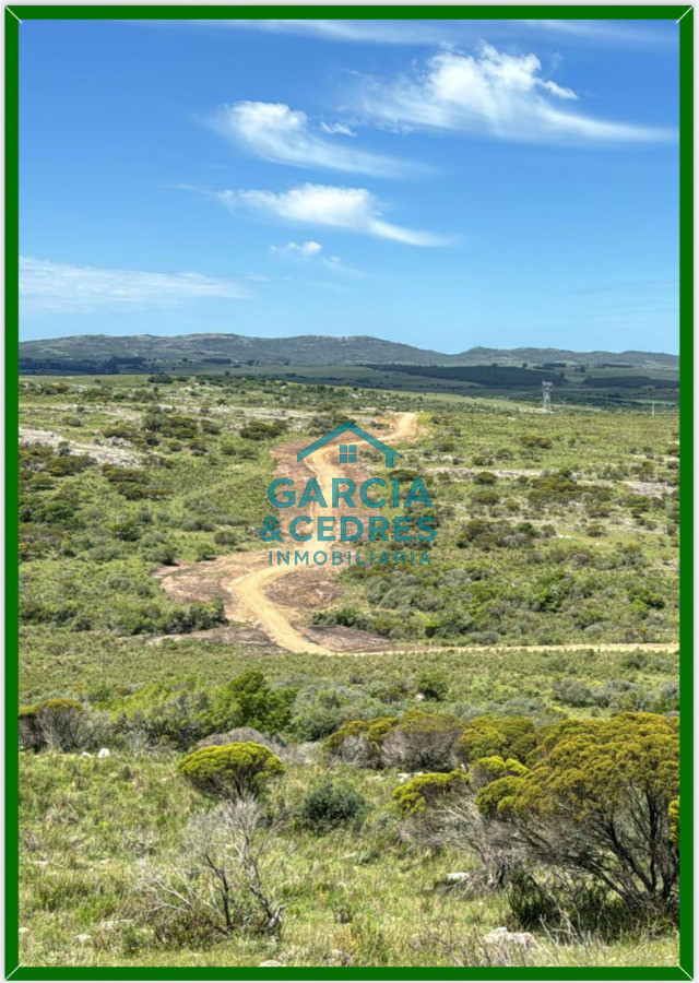 Chacra ID.3 - Chacras ruta 39 km 41.5 Valle de san nicolas 