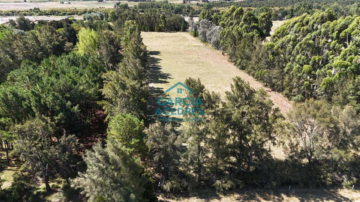 Chacra ID.174 - Oportunidad !!!! Vendo Chacra de Lujo con Dos Residencias y Emprendimiento en Funcionamiento