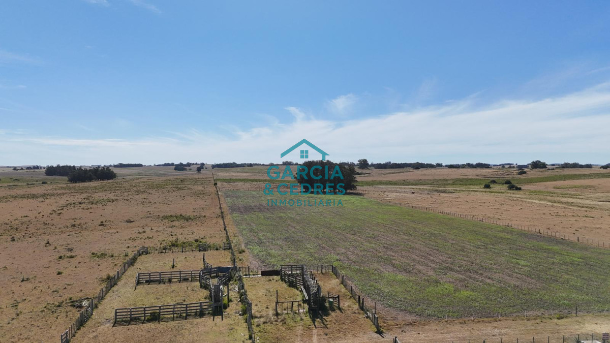 Chacra ID.144 - OPORTUNIDAD VENTA DE CHACRA 21 HAS ZONA DE LAGUNA JOSE IGNACIO