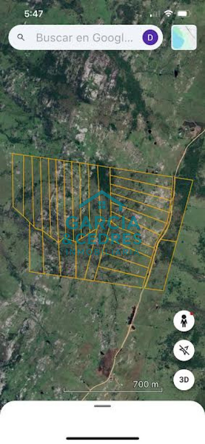 Chacra ID.3 - Chacras ruta 39 km 41.5 Valle de san nicolas 