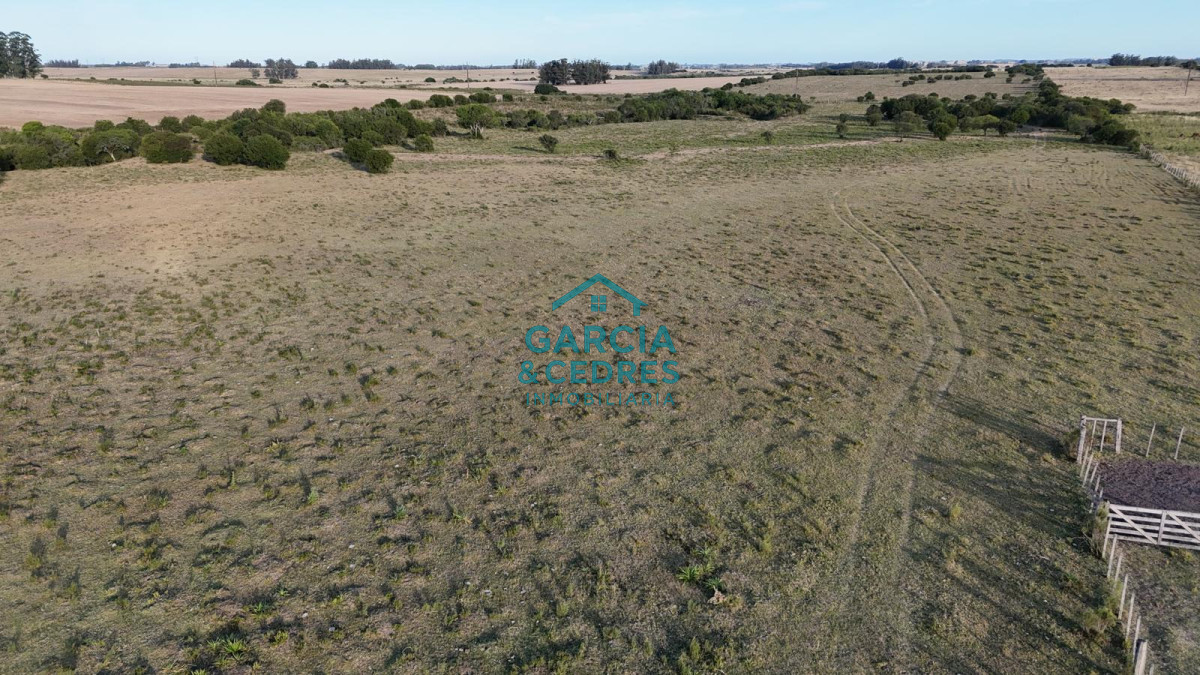 Chacra ID.146 - OPORTUNIDAD VENTA DE CHACRA 18 HAS 795 M2 ZONA ZANJA DE CHAVEZ