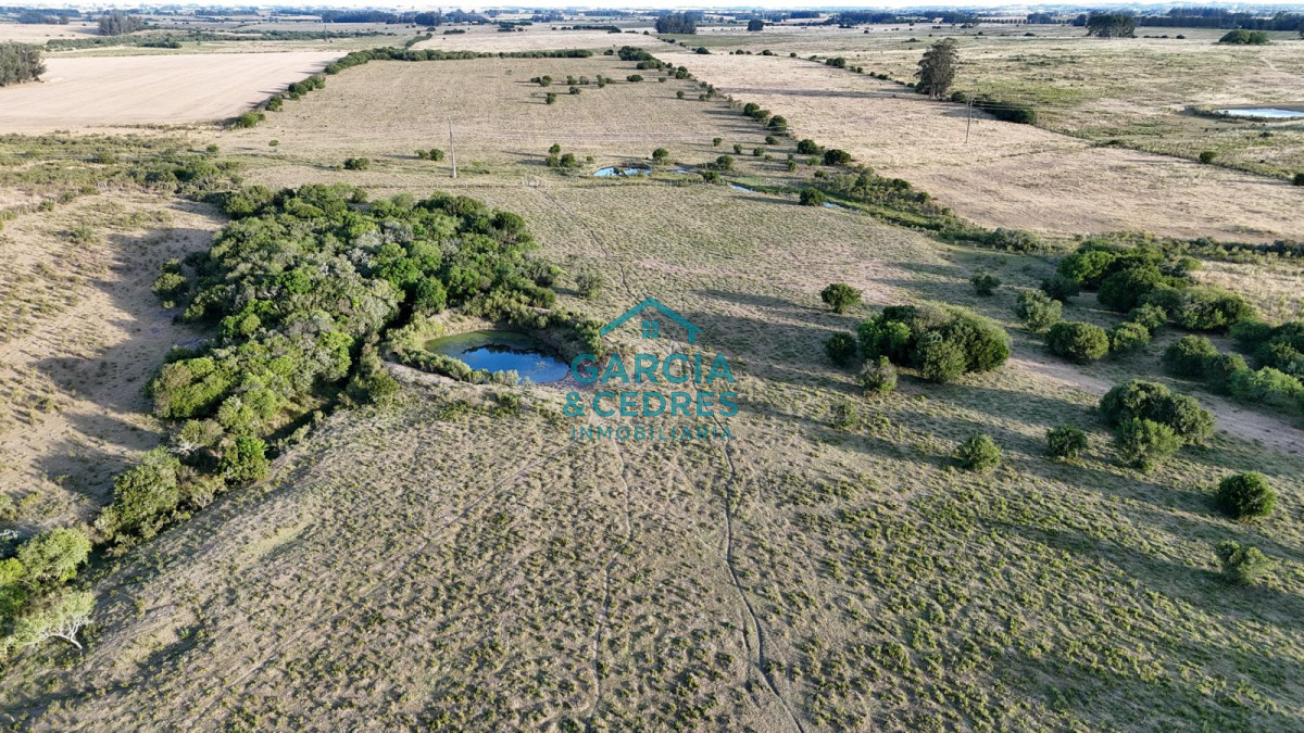 Chacra ID.146 - OPORTUNIDAD VENTA DE CHACRA 18 HAS 795 M2 ZONA ZANJA DE CHAVEZ
