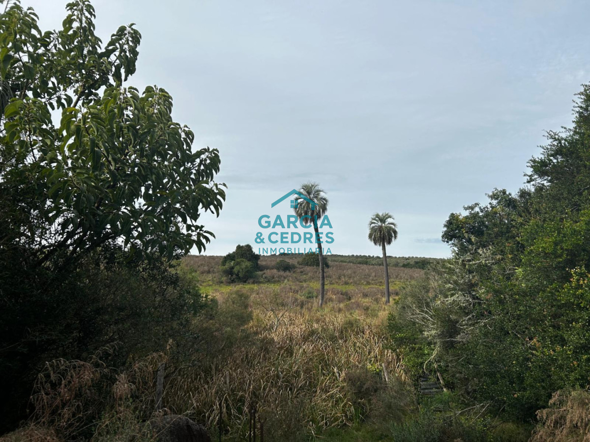 Chacra ID.643 - Chacra En venta de 10 has ruta 39 km 48 en Sierra de las Cañas 
