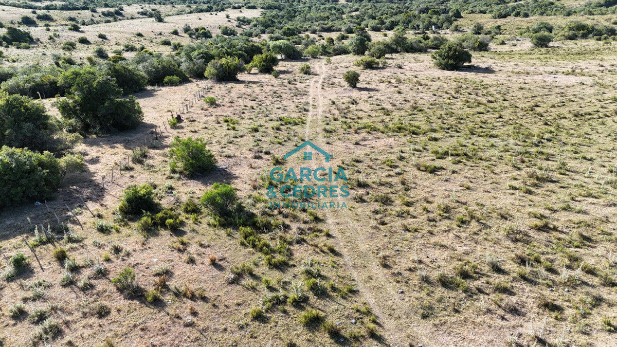 Chacra ID.145 - OPORTUNIDAD VENTA DE CHACRA DE 6 HAS CAMINO SIERRA LOS CARACOLES , BELLEZA EN LAS SIERRAS