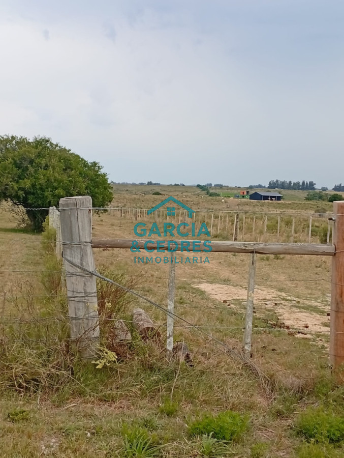 Chacra ID.515 - Chacra de 3has en venta, Corte de la Leña
