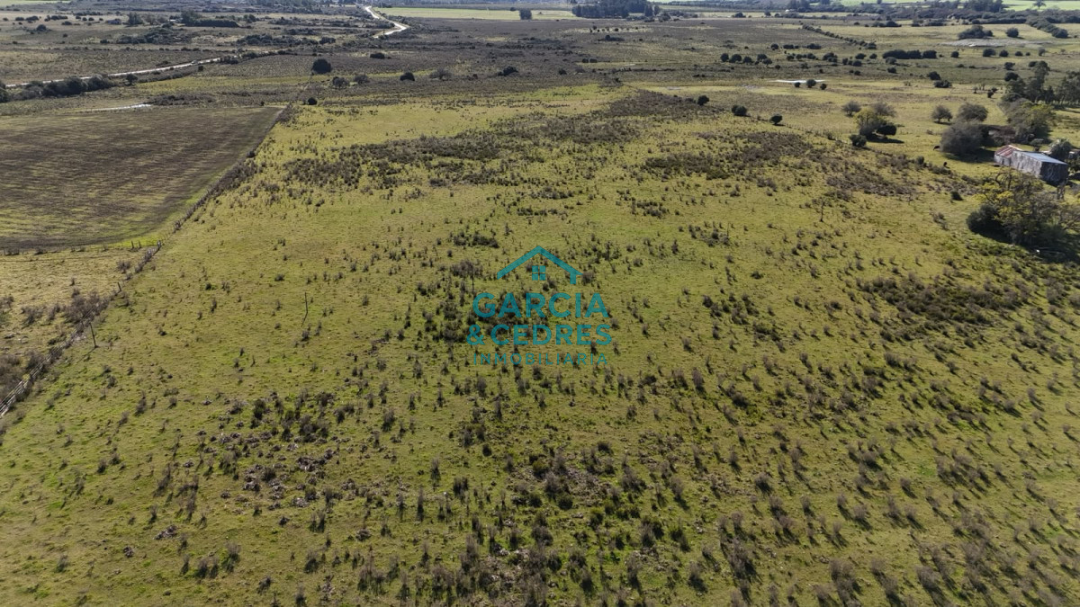 Chacra ID.763 - Chacra en Km 110 . 10 Hectáreas Exclusivas con Cañada Permanente y Vista Panorámica a la Sierra de las Ánimas