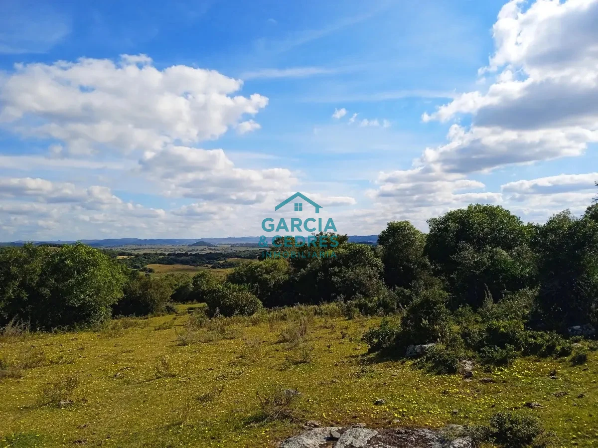 Chacra ID.478 -  Venta de Chacra Con Arroyo, Monte Nativo, Pastoreo, Vistas 360 En Altura, Sierras De Aigua