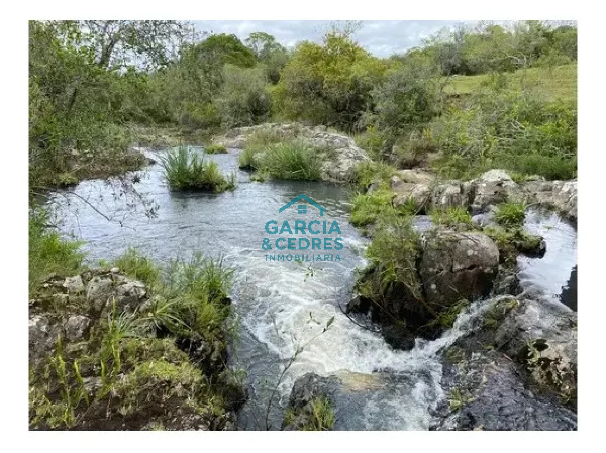 Chacra ID.478 -  Venta de Chacra Con Arroyo, Monte Nativo, Pastoreo, Vistas 360 En Altura, Sierras De Aigua
