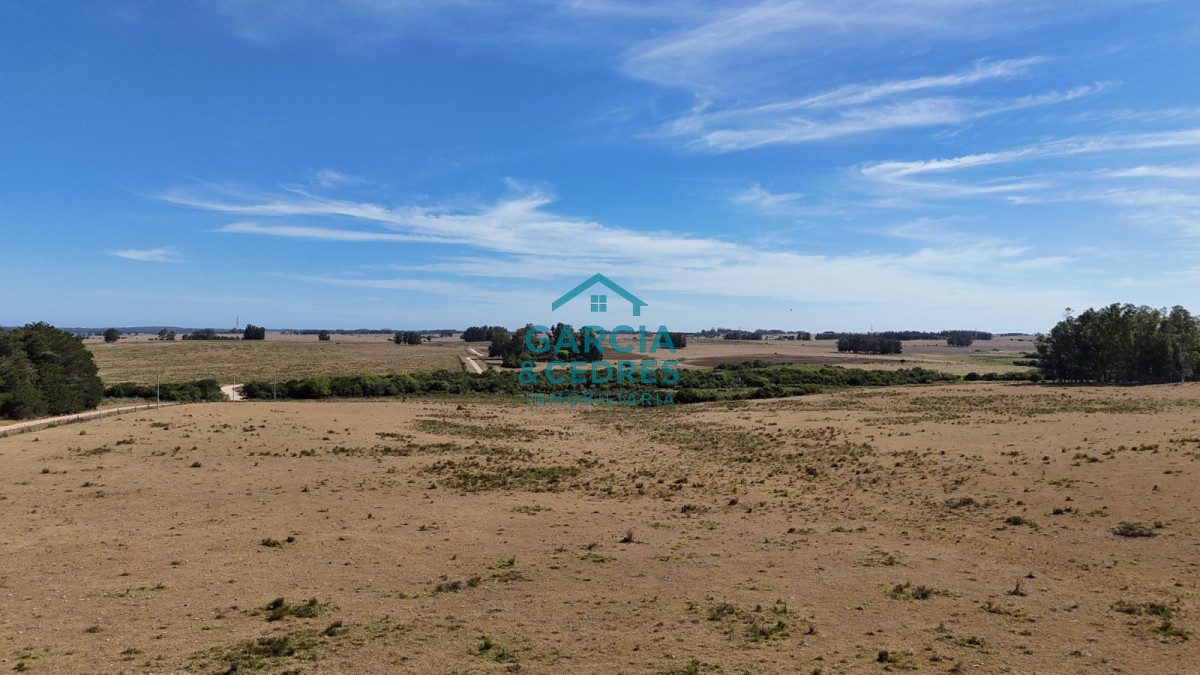 Chacra ID.144 - OPORTUNIDAD VENTA DE CHACRA 21 HAS ZONA DE LAGUNA JOSE IGNACIO