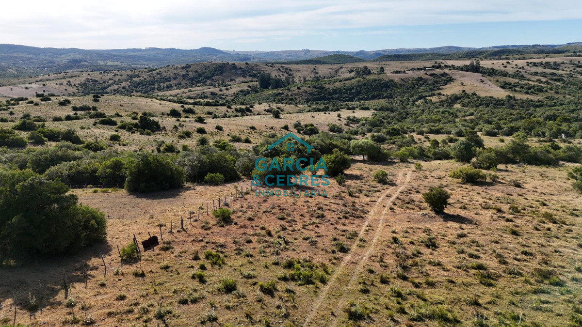 Chacra ID.145 - OPORTUNIDAD VENTA DE CHACRA DE 6 HAS CAMINO SIERRA LOS CARACOLES , BELLEZA EN LAS SIERRAS