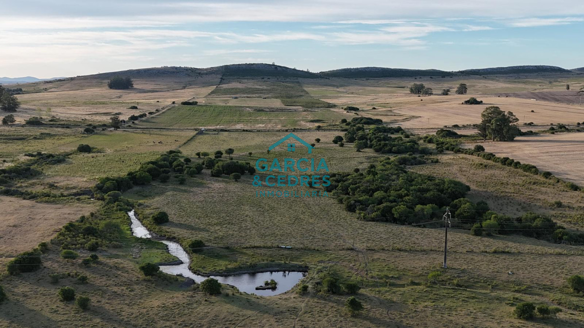 Chacra ID.146 - OPORTUNIDAD VENTA DE CHACRA 18 HAS 795 M2 ZONA ZANJA DE CHAVEZ