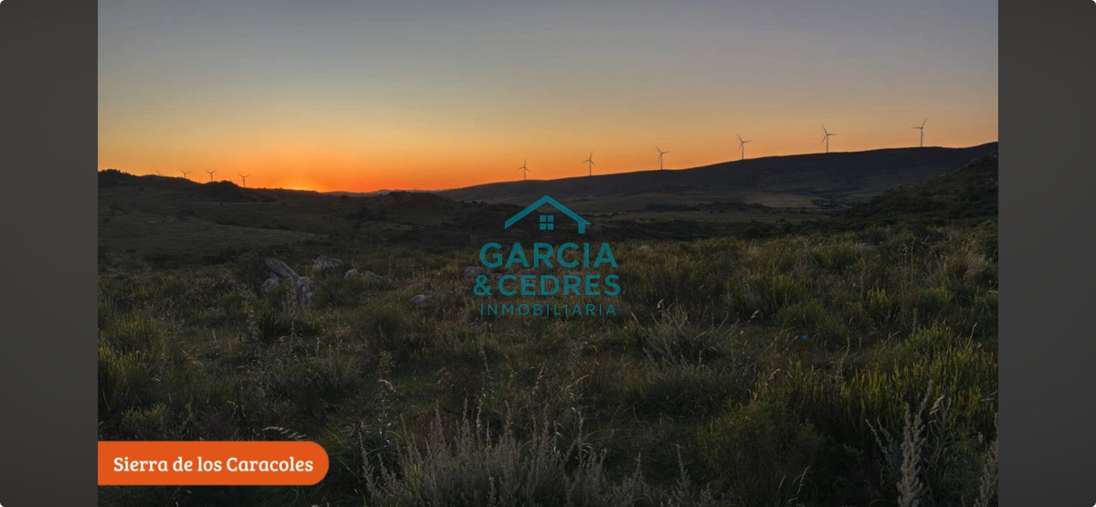 Chacra ID.3 - Chacras ruta 39 km 41.5 Valle de san nicolas 