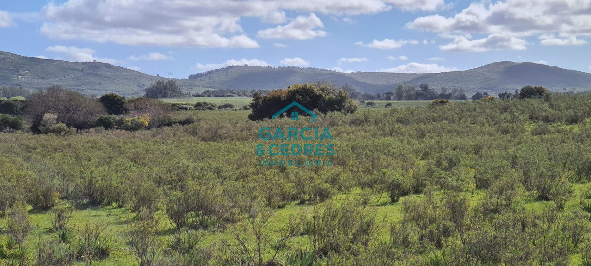 Chacra ID.123 - Excelente Oportunidad Venta de Chacras de 5 has en camino a la Nativa a U$S 74.000 