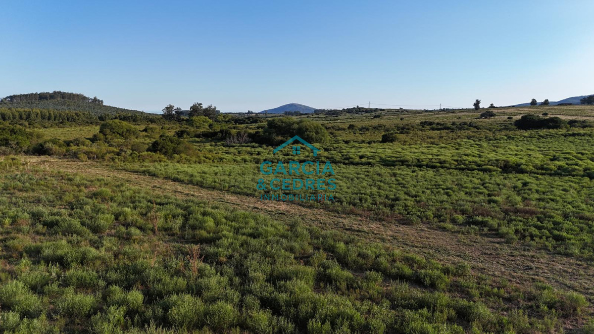 Chacra ID.123 - Excelente Oportunidad Venta de Chacras de 5 has en camino a la Nativa desde U$S 74.000 