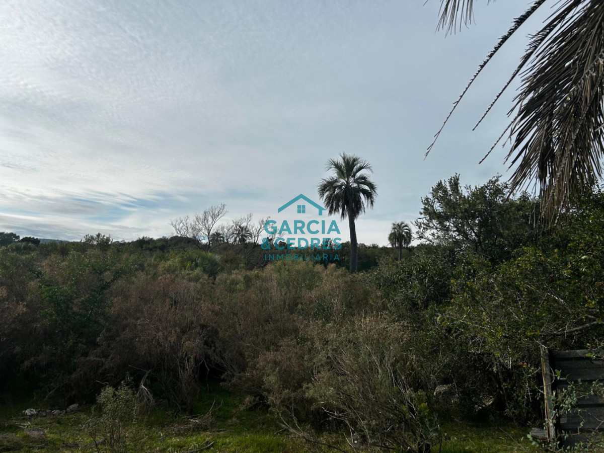 Chacra ID.643 - Chacra En venta de 10 has ruta 39 km 48 en Sierra de las Cañas 