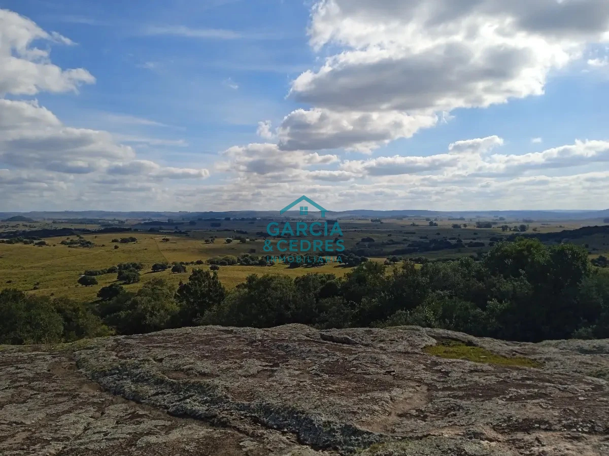 Chacra ID.478 -  Venta de Chacra Con Arroyo, Monte Nativo, Pastoreo, Vistas 360 En Altura, Sierras De Aigua
