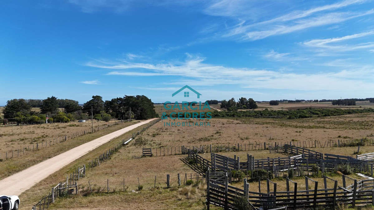 Chacra ID.144 - OPORTUNIDAD VENTA DE CHACRA 21 HAS ZONA DE LAGUNA JOSE IGNACIO