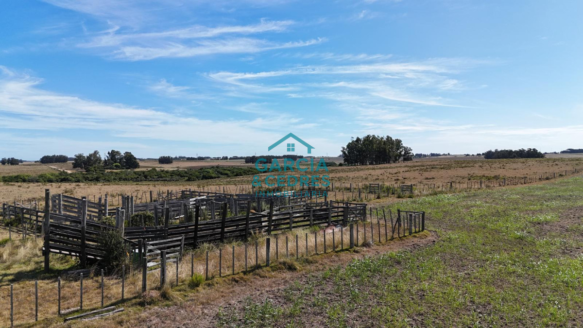 Chacra ID.144 - OPORTUNIDAD VENTA DE CHACRA 21 HAS ZONA DE LAGUNA JOSE IGNACIO