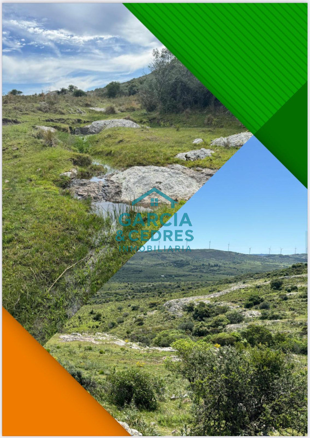 Chacra ID.3 - Chacras ruta 39 km 41.5 Valle de san nicolas 