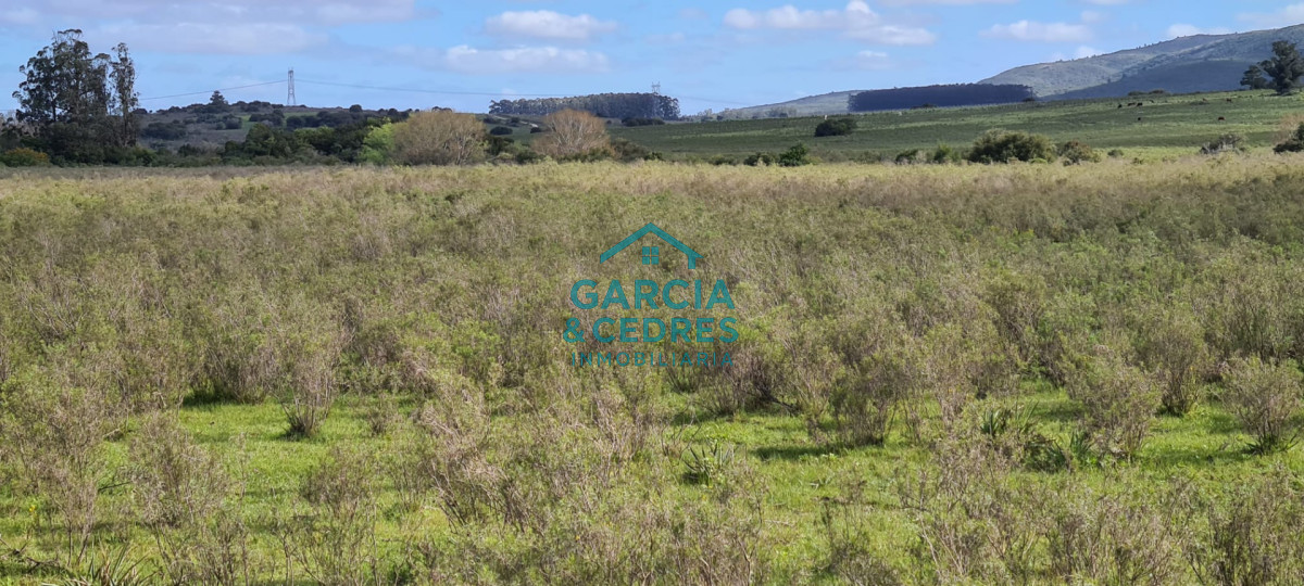 Chacra ID.123 - Excelente Oportunidad Venta de Chacras de 5 has en camino a la Nativa a U$S 74.000 