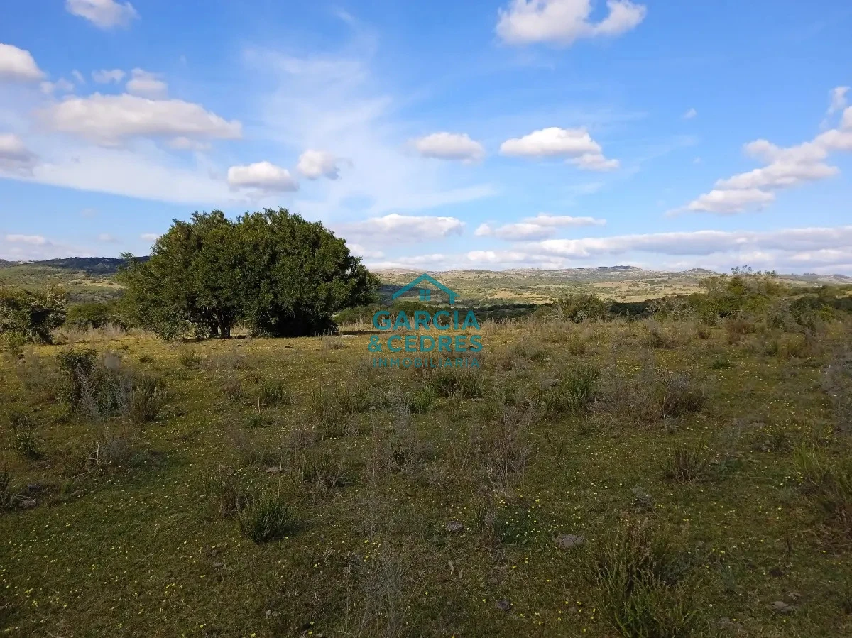 Chacra ID.478 -  Venta de Chacra Con Arroyo, Monte Nativo, Pastoreo, Vistas 360 En Altura, Sierras De Aigua