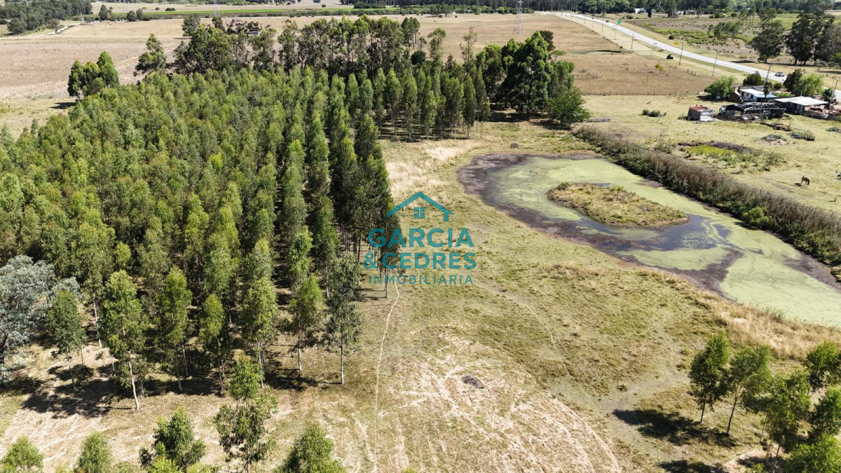 Chacra ID.174 - Oportunidad !!!! Vendo Chacra de Lujo con Dos Residencias y Emprendimiento en Funcionamiento