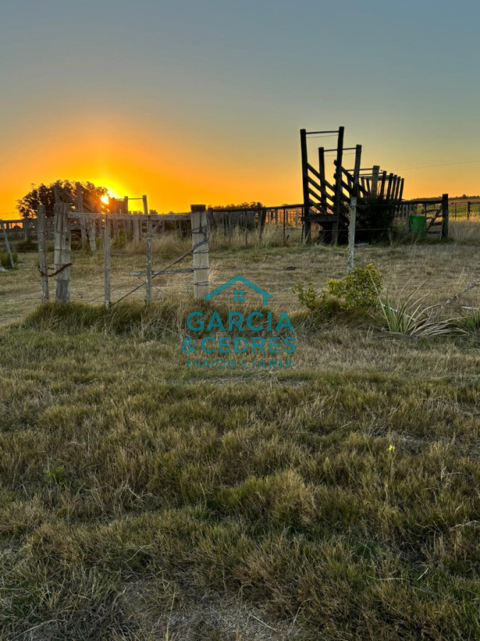 Chacra ID.144 - OPORTUNIDAD VENTA DE CHACRA 21 HAS ZONA DE LAGUNA JOSE IGNACIO