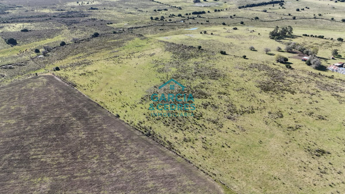Chacra ID.763 - Chacra en Km 110 . 10 Hectáreas Exclusivas con Cañada Permanente y Vista Panorámica a la Sierra de las Ánimas