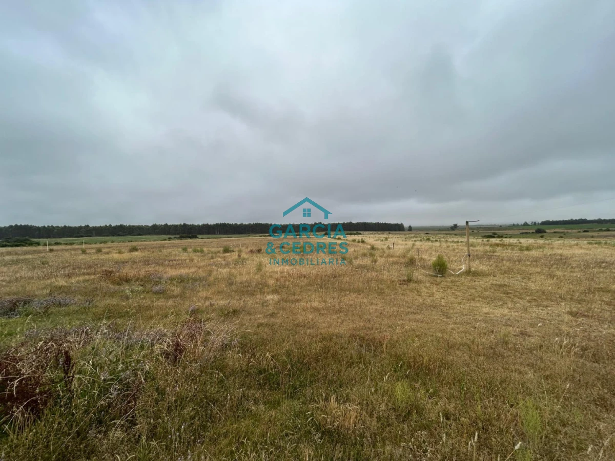 Chacra ID.85 - LUGAR DE ENSUEÑO !!!!  VENDO CHACRA DE 14 HAS QUE YA NO SE ENCUENTRAN EN LA ZONA . CANCHA DE POLO , PICADERO Y CABALLERIZAS 