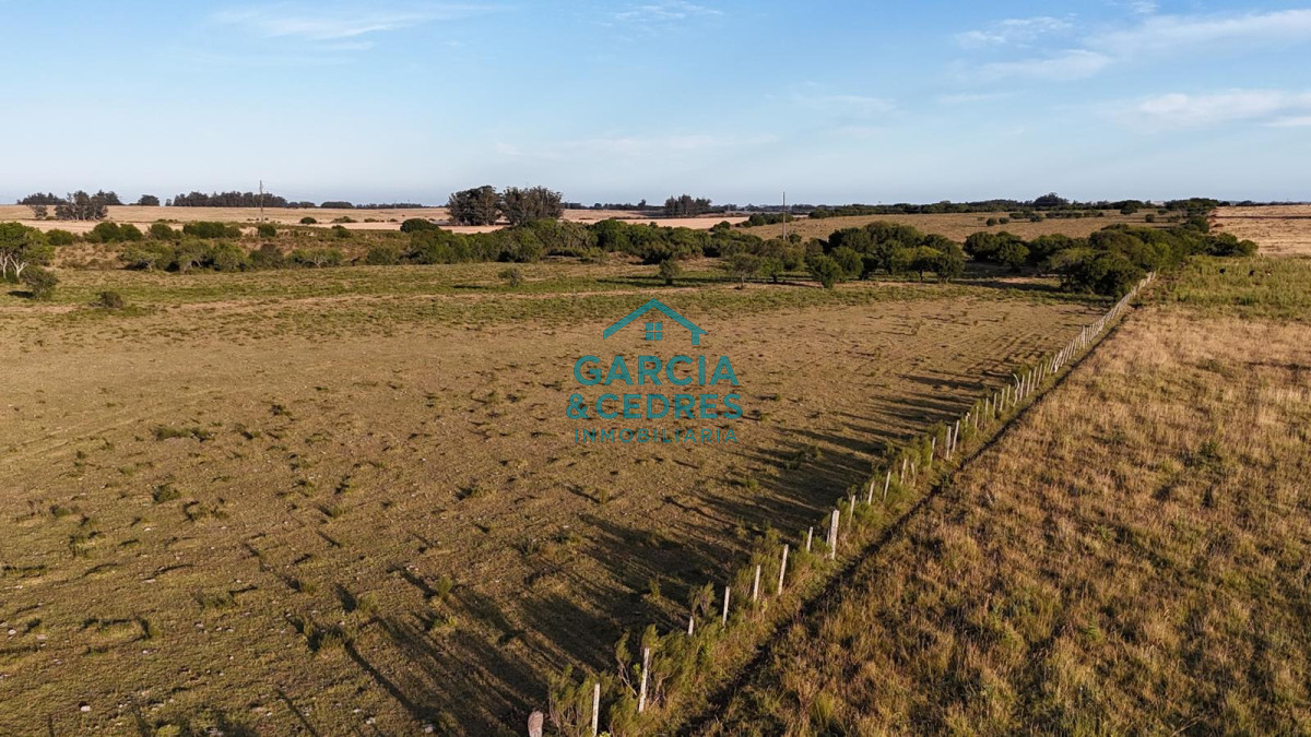Chacra ID.146 - OPORTUNIDAD VENTA DE CHACRA 18 HAS 795 M2 ZONA ZANJA DE CHAVEZ