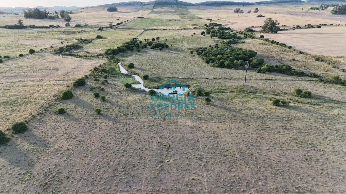 Chacra ID.146 - OPORTUNIDAD VENTA DE CHACRA 18 HAS 795 M2 ZONA ZANJA DE CHAVEZ