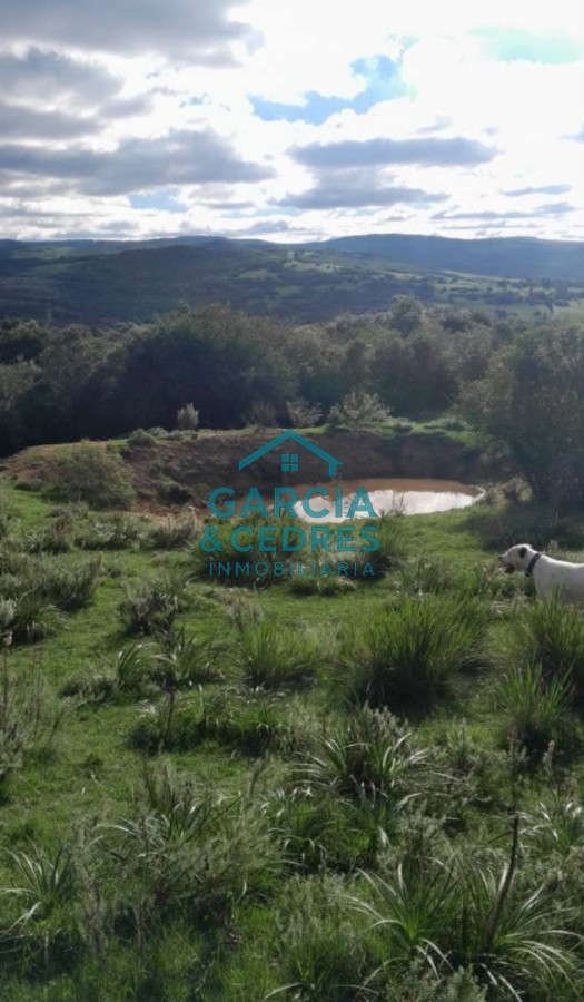 Chacra ID.696 - SE VENDE CASA EN ZONA PASO DE LAS CANTERAS GARZON
