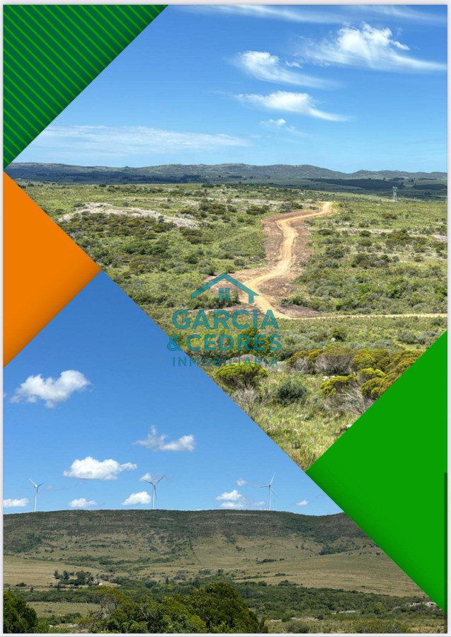 Chacra ID.3 - Chacras ruta 39 km 41.5 Valle de san nicolas 