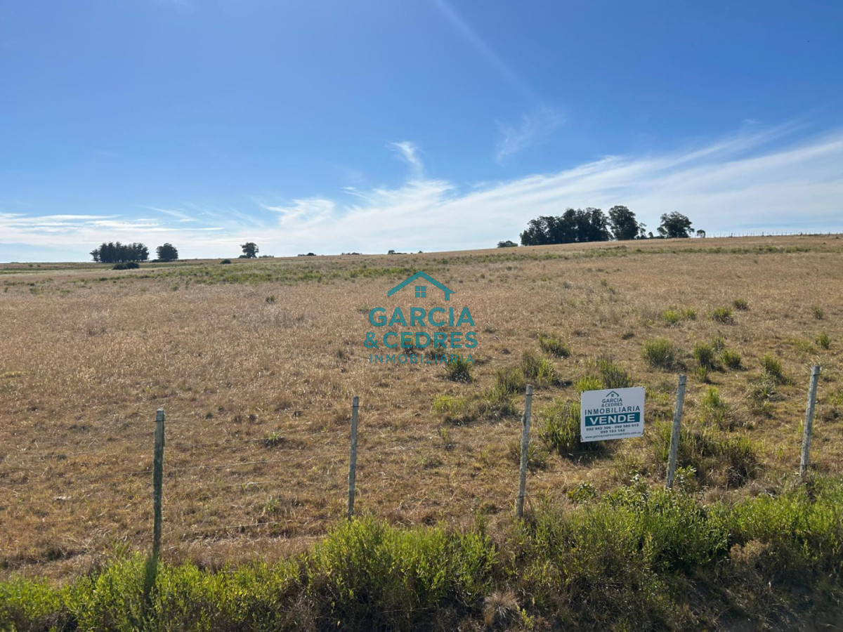 Chacra ID.144 - OPORTUNIDAD VENTA DE CHACRA 21 HAS ZONA DE LAGUNA JOSE IGNACIO