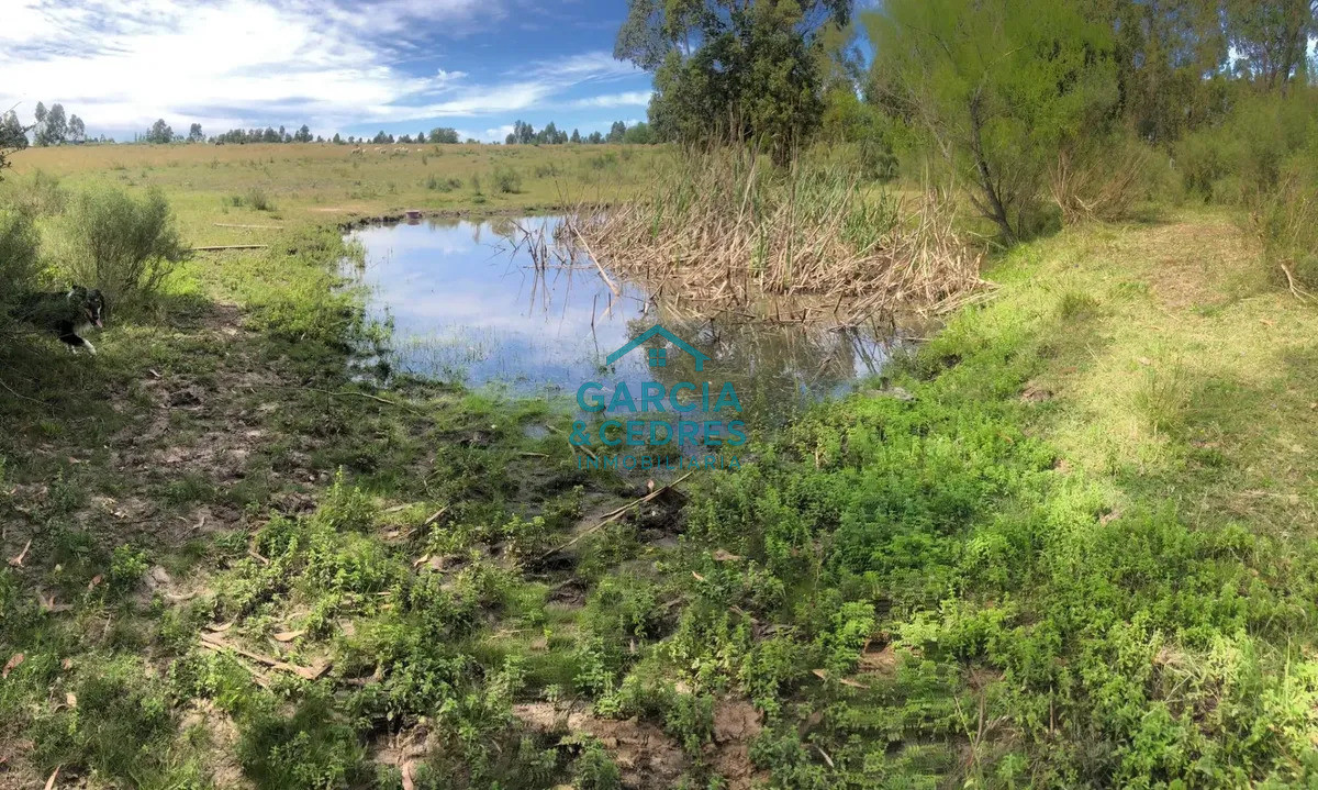Chacra ID.562 -  Chacra 7 Has, San Jacinto, Canelones.