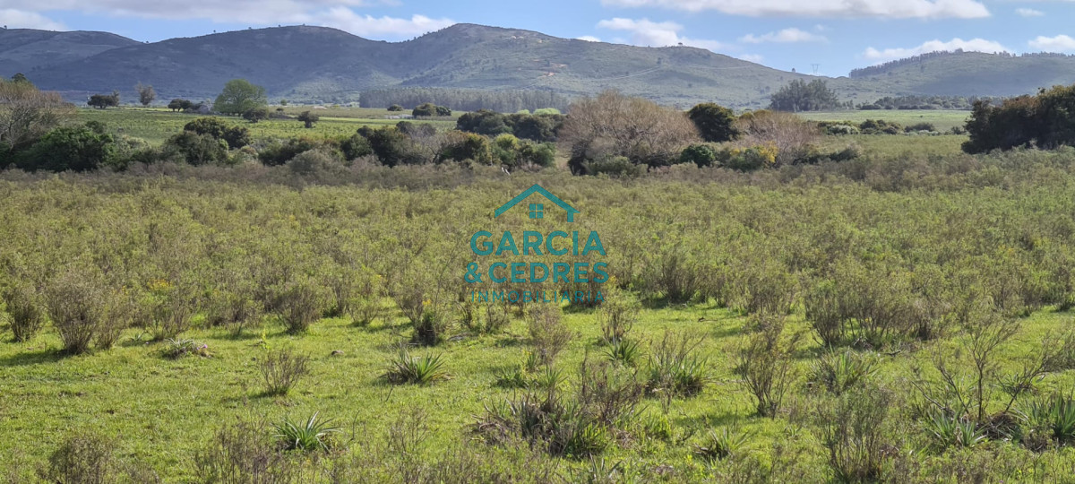 Chacra ID.123 - Excelente Oportunidad Venta de Chacras de 5 has en camino a la Nativa a U$S 74.000 