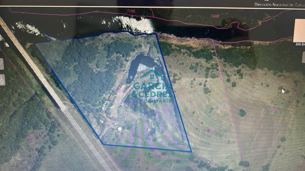 Chacra ID.903 - OPORTUNIDAD DE INVERSIÓN ÚNICA EN PAYSANDÚ