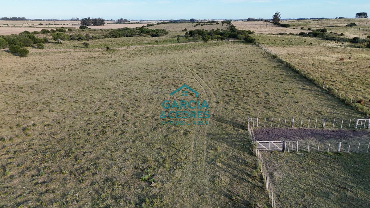 Chacra ID.146 - OPORTUNIDAD VENTA DE CHACRA 18 HAS 795 M2 ZONA ZANJA DE CHAVEZ