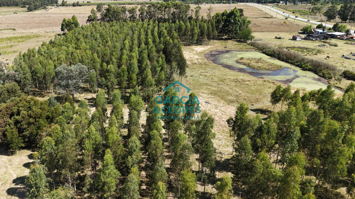 Chacra ID.174 - Oportunidad !!!! Vendo Chacra de Lujo con Dos Residencias y Emprendimiento en Funcionamiento