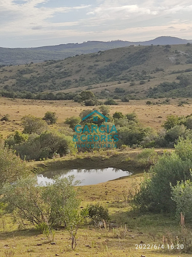 Chacra ID.145 - OPORTUNIDAD VENTA DE CHACRA DE 6 HAS CAMINO SIERRA LOS CARACOLES , BELLEZA EN LAS SIERRAS