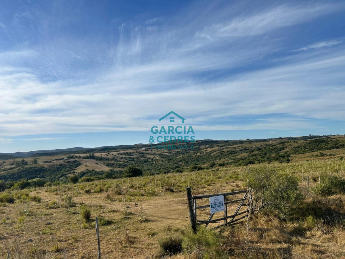 Chacra ID.145 - OPORTUNIDAD VENTA DE CHACRA DE 6 HAS CAMINO SIERRA LOS CARACOLES , BELLEZA EN LAS SIERRAS