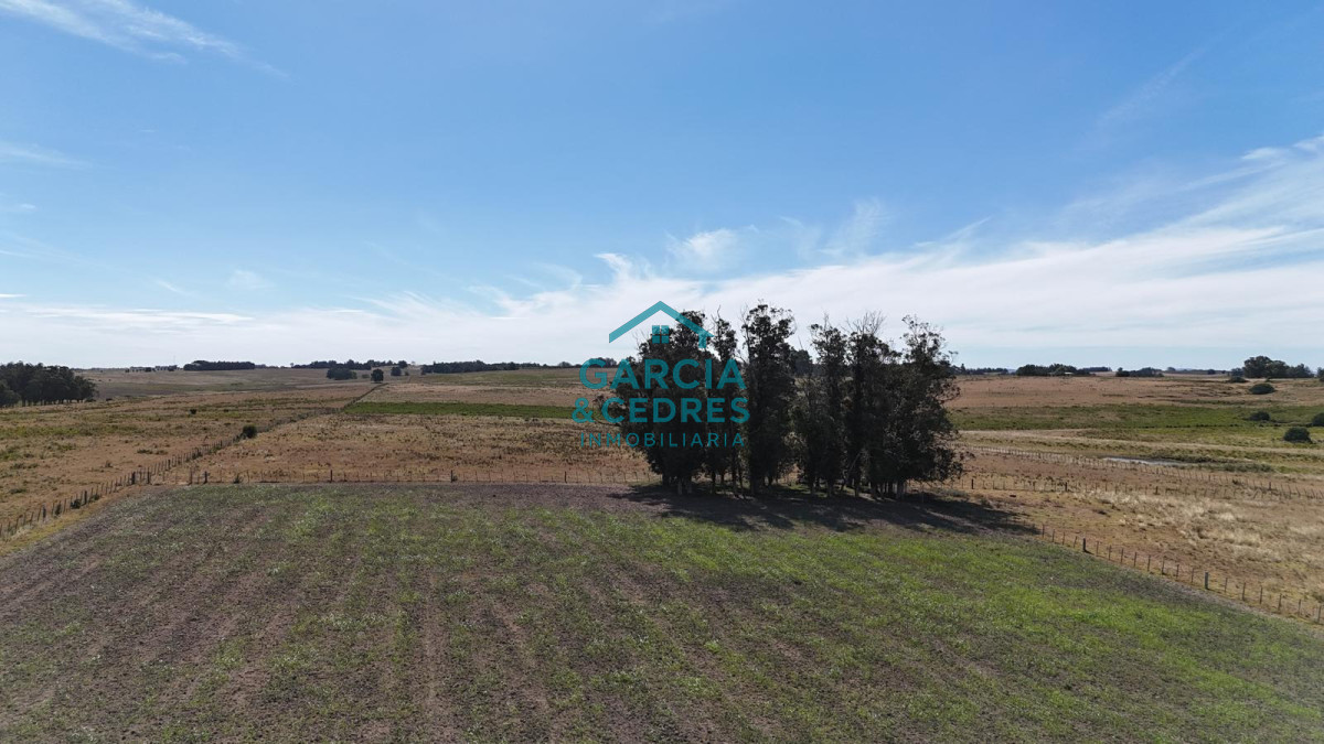 Chacra ID.144 - OPORTUNIDAD VENTA DE CHACRA 21 HAS ZONA DE LAGUNA JOSE IGNACIO