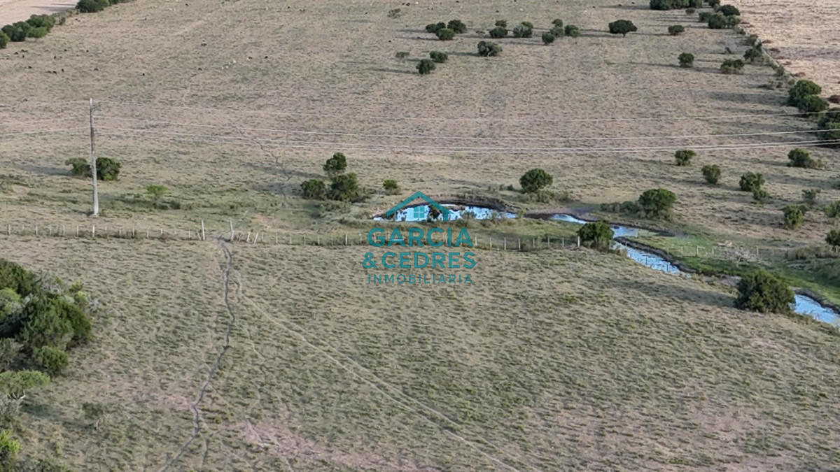 Chacra ID.146 - OPORTUNIDAD VENTA DE CHACRA 18 HAS 795 M2 ZONA ZANJA DE CHAVEZ