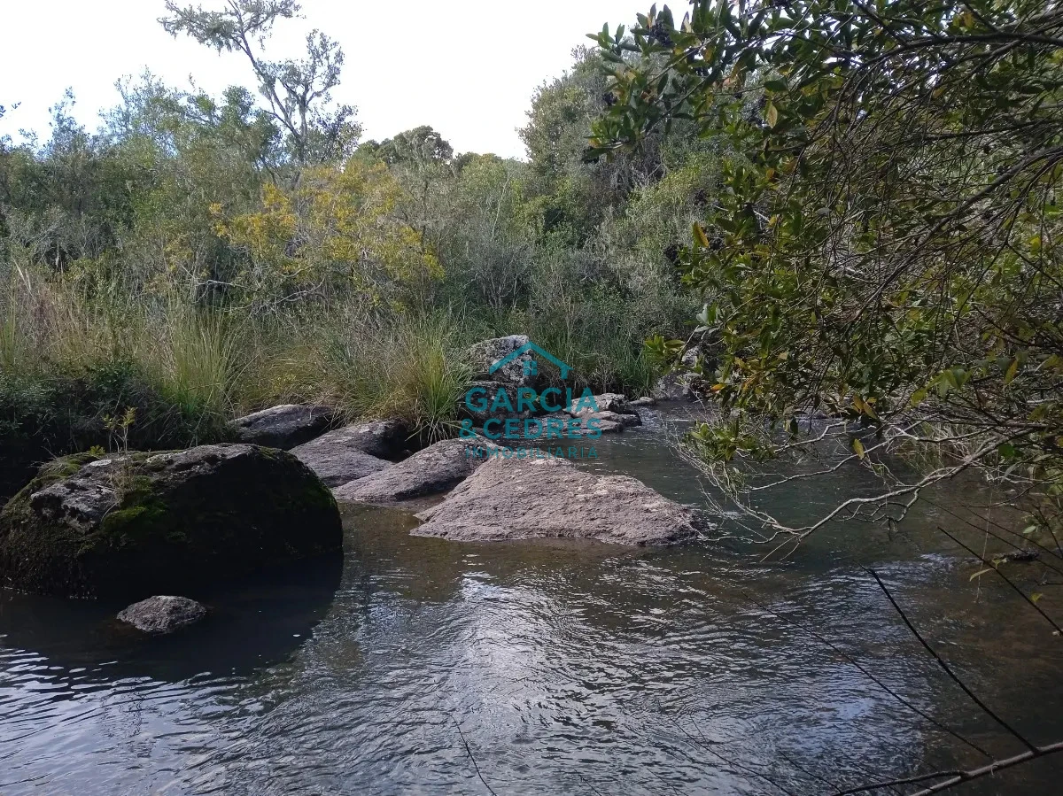 Chacra ID.478 -  Venta de Chacra Con Arroyo, Monte Nativo, Pastoreo, Vistas 360 En Altura, Sierras De Aigua