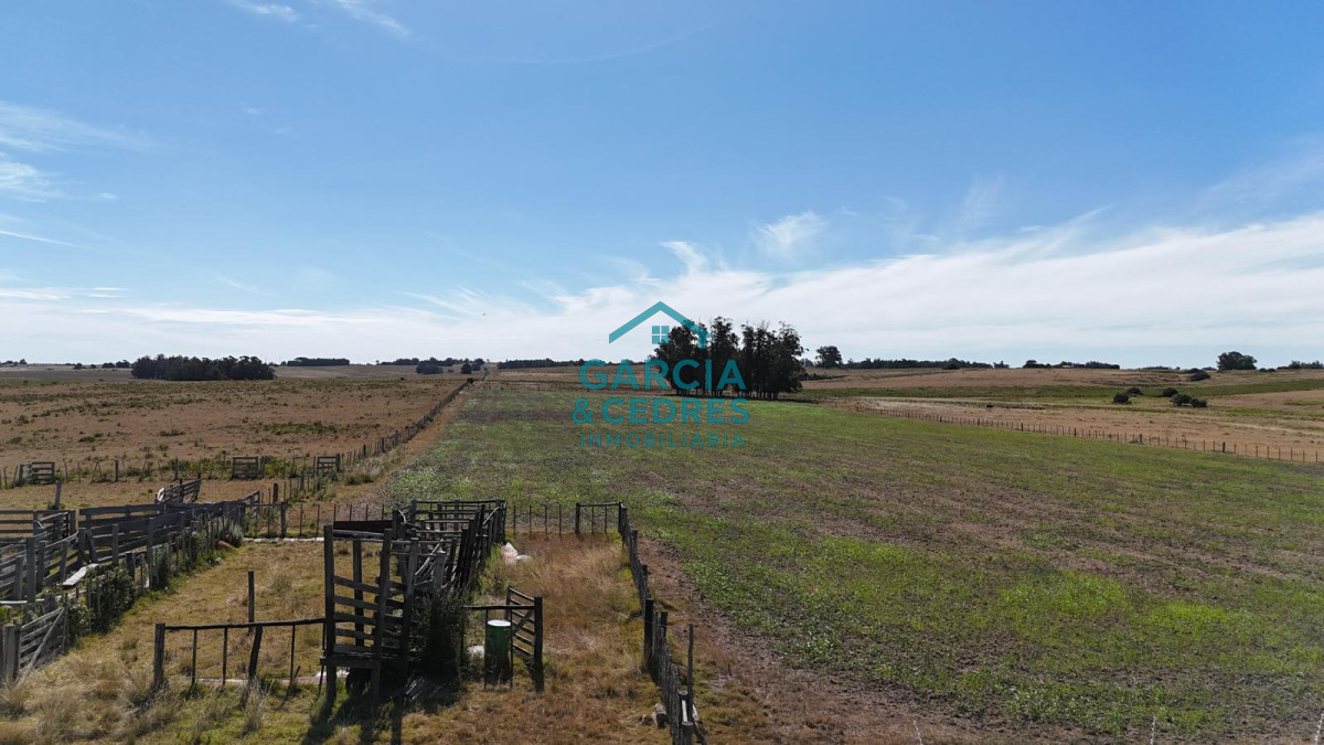 Chacra ID.144 - OPORTUNIDAD VENTA DE CHACRA 21 HAS ZONA DE LAGUNA JOSE IGNACIO