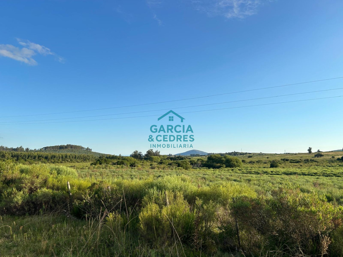 Chacra ID.123 - Excelente Oportunidad Venta de Chacras de 5 has en camino a la Nativa desde U$S 74.000 